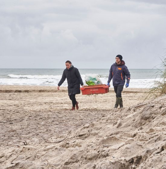 Two people walk on beach with fish box and other waste they have swollen